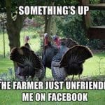 Thanksgiving turkey shopping