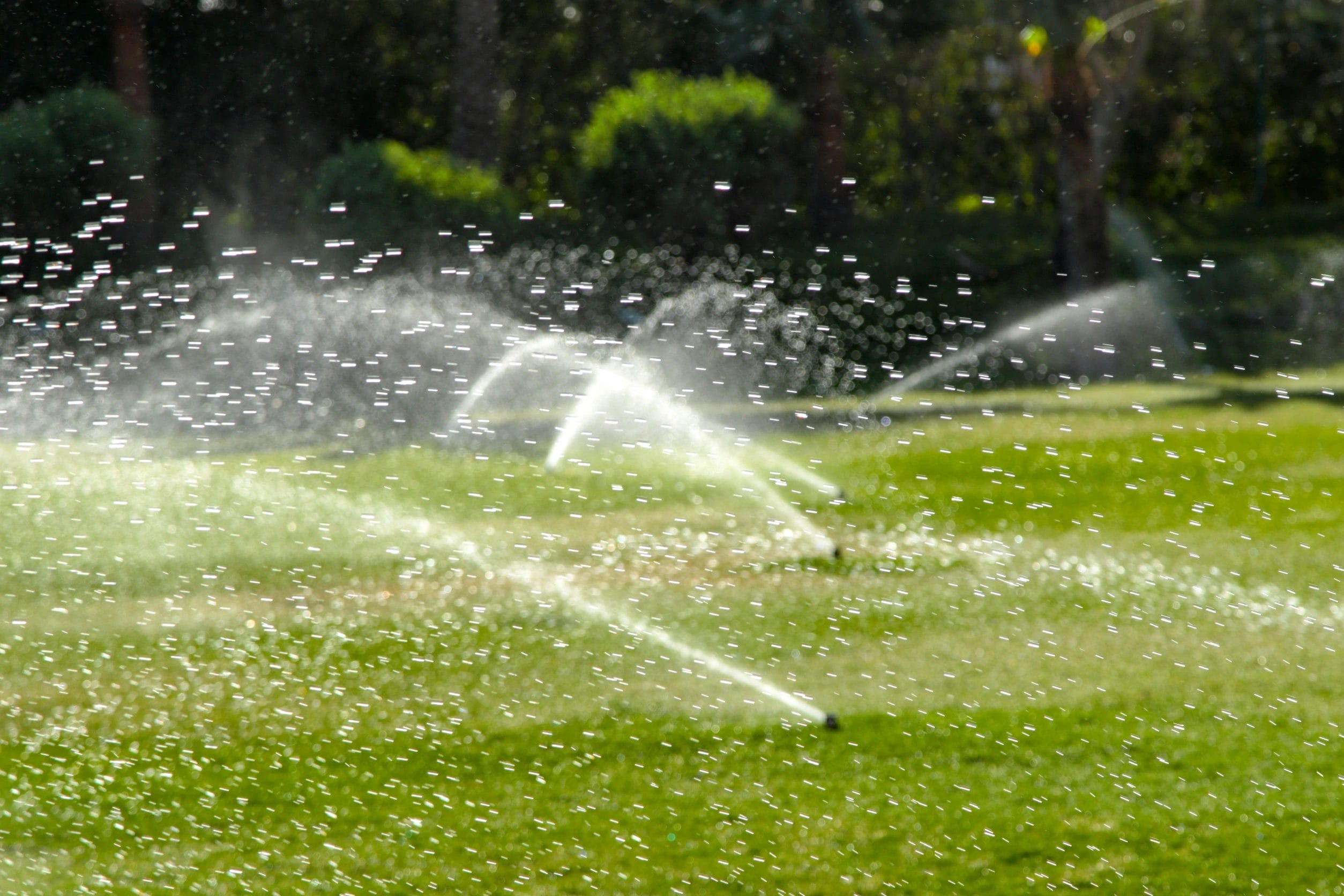 sprinklers