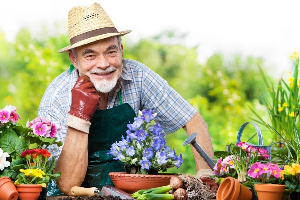 Seasonal Landscaper