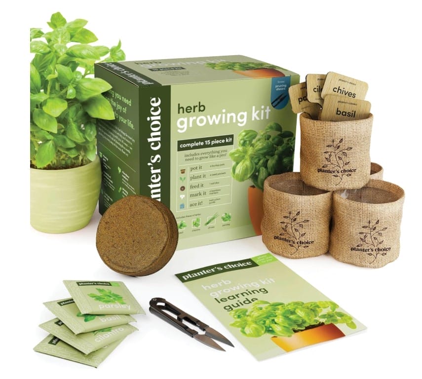 DIY herb growing kit