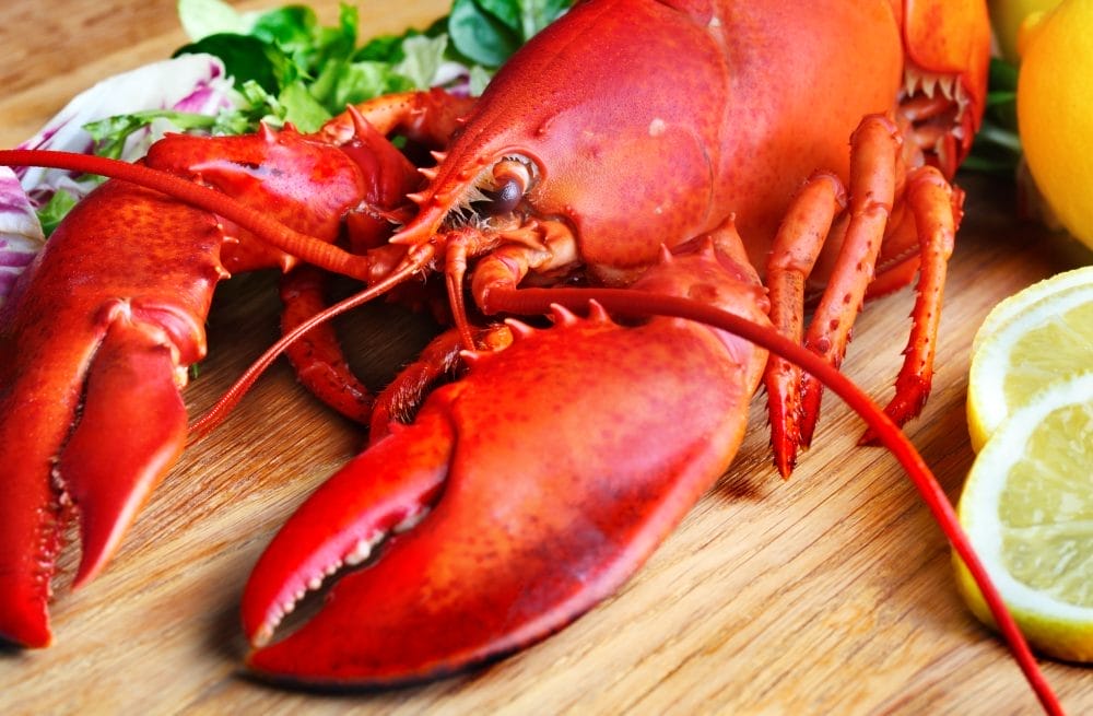 A lobster offered in one of the cities that offer incredible food scenes without high costs