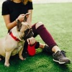 A woman doing pet training on her dog
