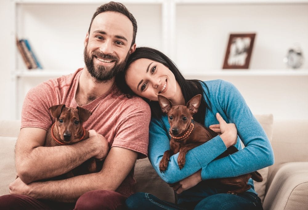 Some people think pets are cheaper than they are.