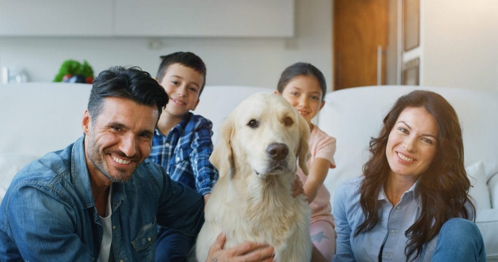 There are hidden costs of owning a pet that nobody talks about.