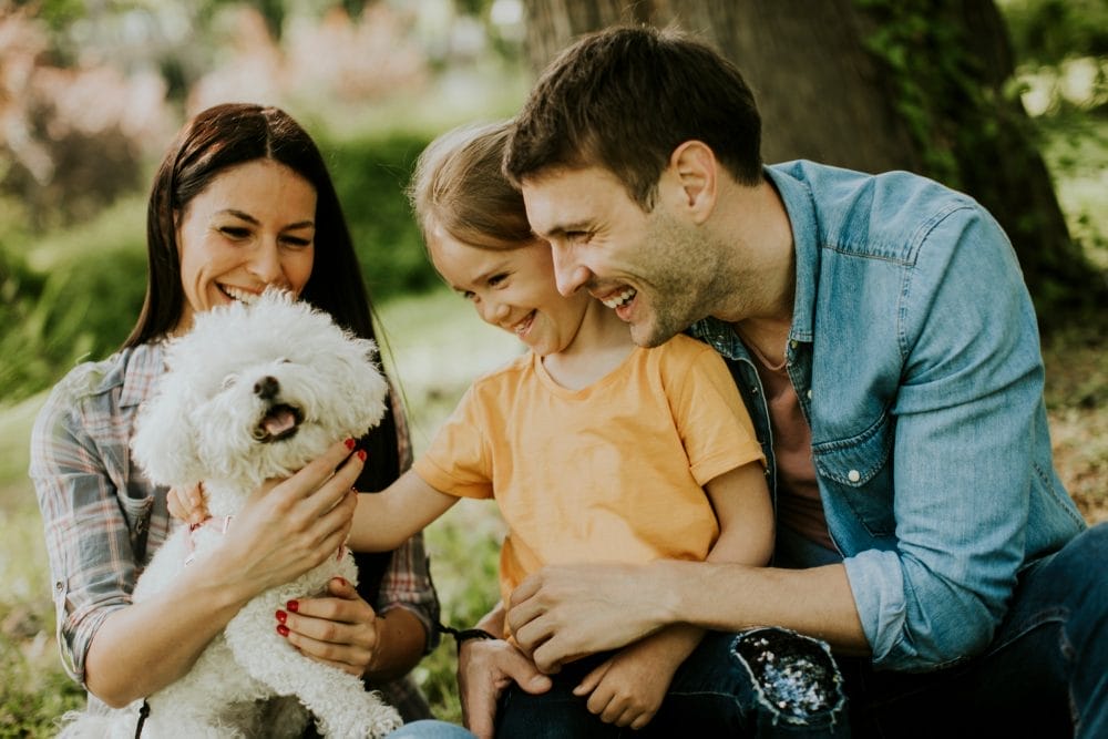 Some pet expenses are quietly bankrupting owners. 