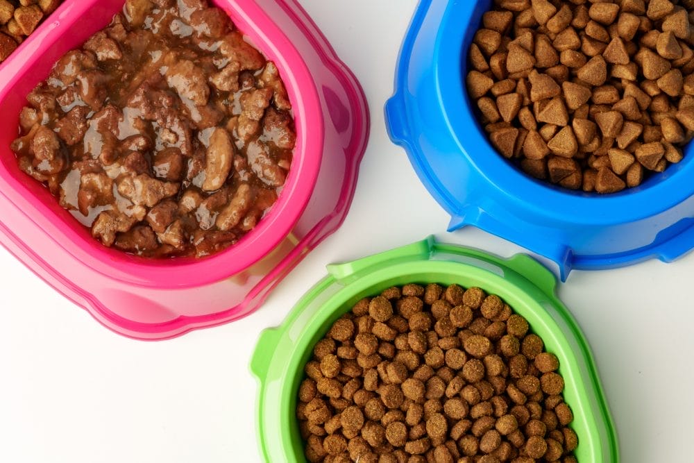 Some pet accessories are a waste of money according to vets.