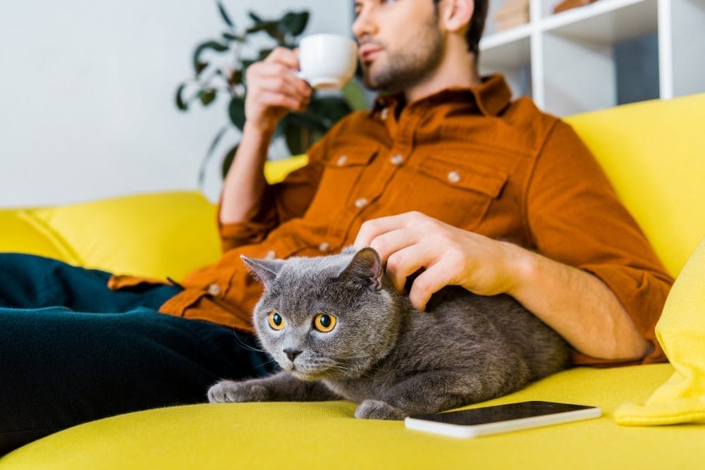 There are hidden pet costs that nobody calculates correctly.